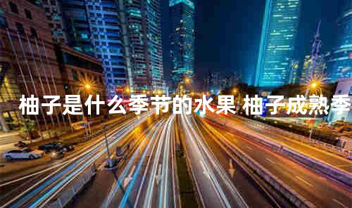 柚子是什么季节的水果 柚子成熟季节是几月